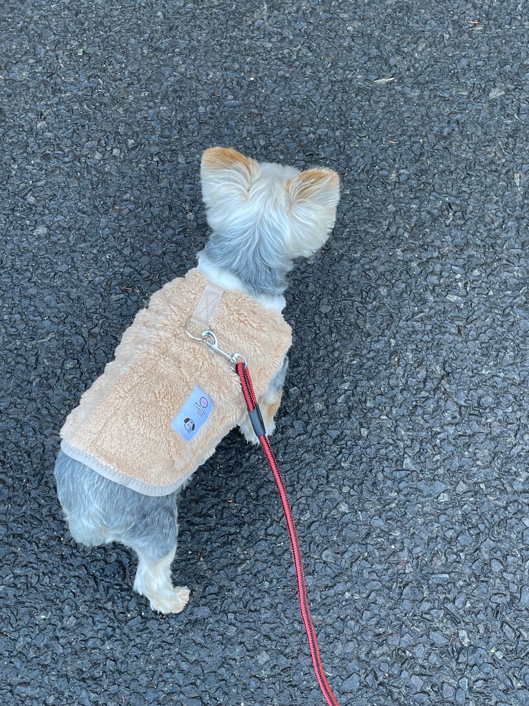 1件目のレビュー画像 | 1