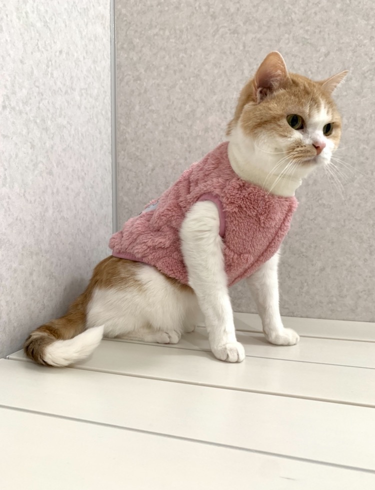 全体のレビュー画像 | 1-0