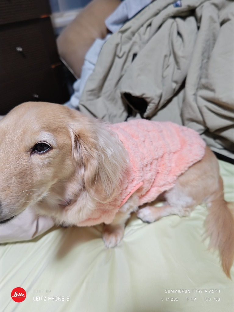 全体のレビュー画像 | 15-0