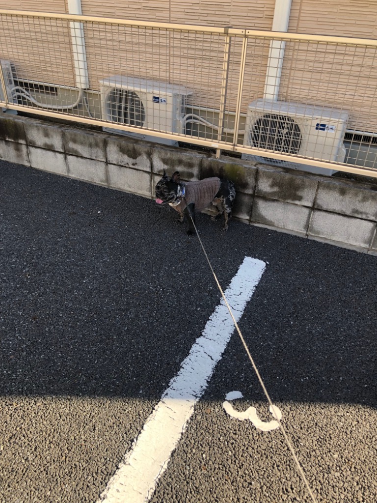 全体のレビュー画像 | 0-0