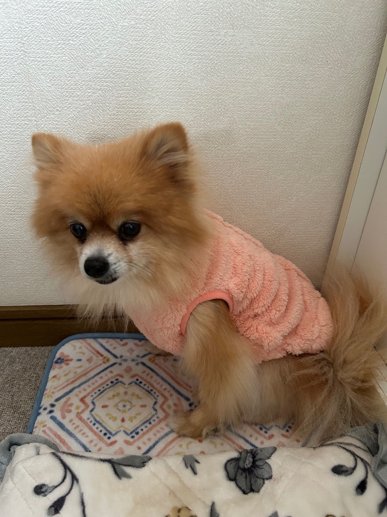 全体のレビュー画像 | 5-1