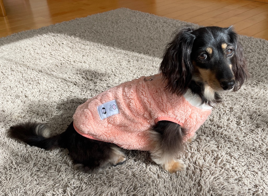 8件目のレビュー画像 | 0