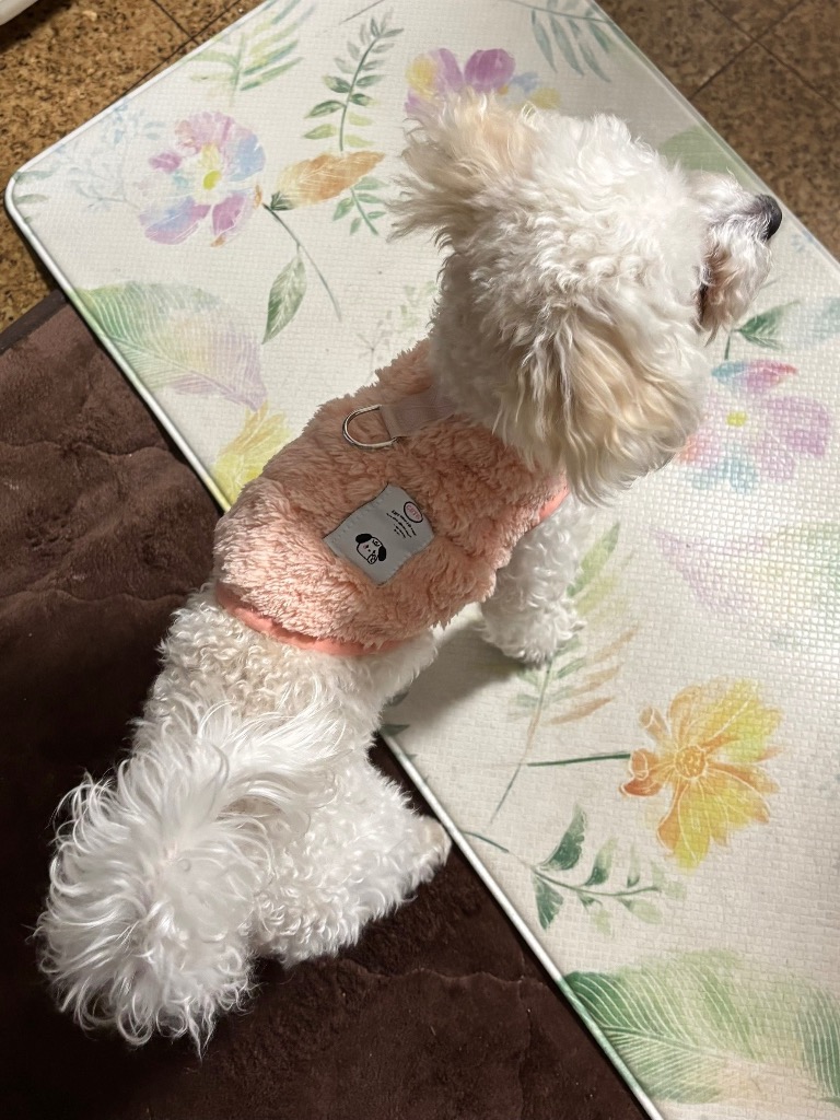 全体のレビュー画像 | 1-0