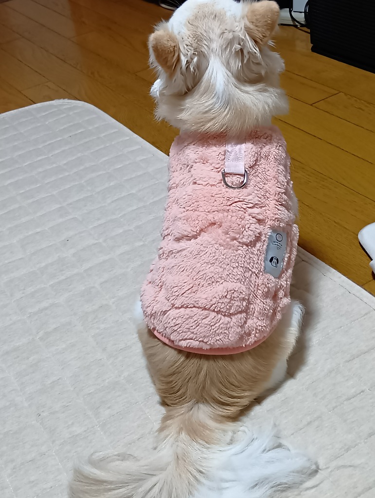 全体のレビュー画像 | 6-0