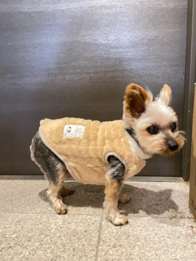 1件目のレビュー画像 | 2