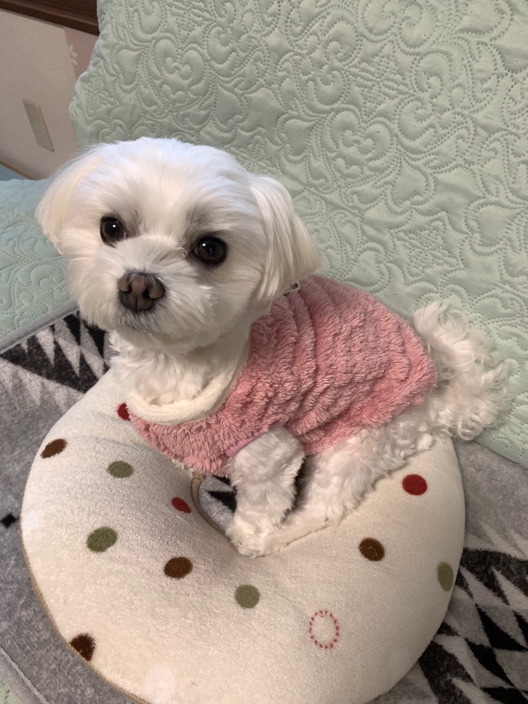 全体のレビュー画像 | 6-0