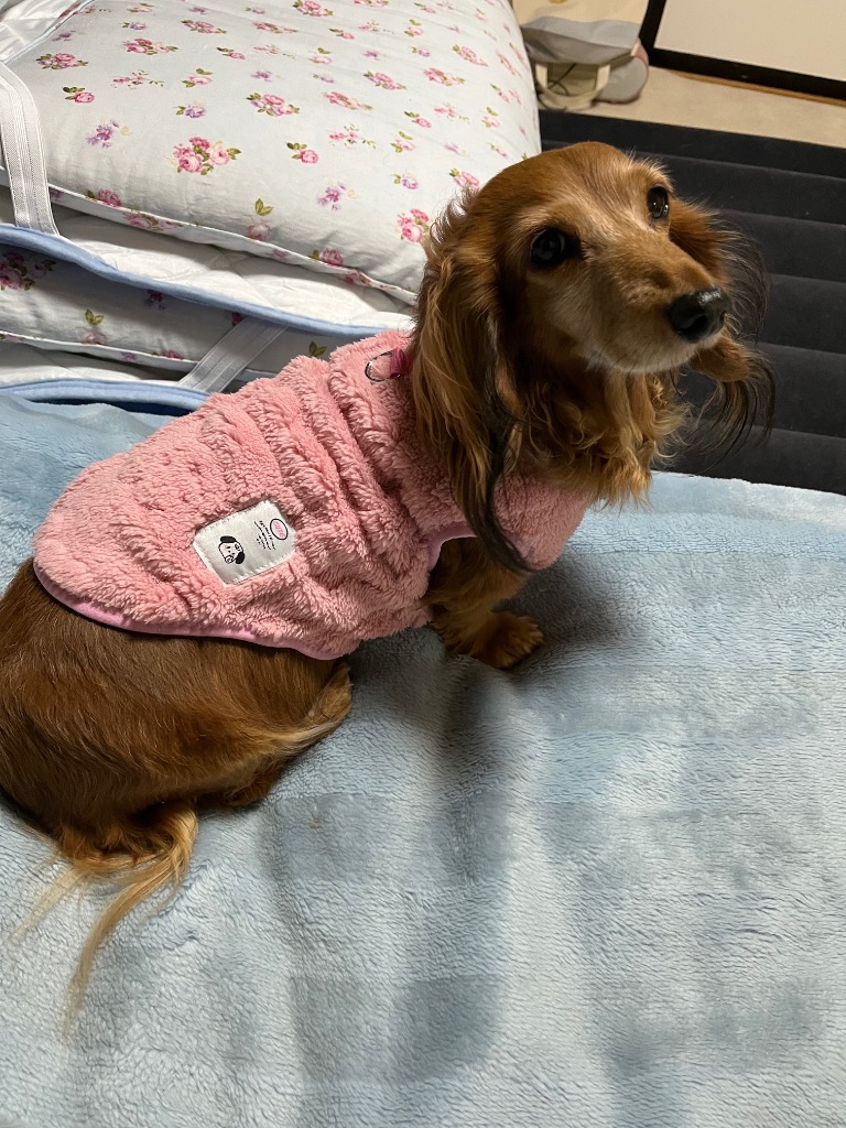 全体のレビュー画像 | 6-0