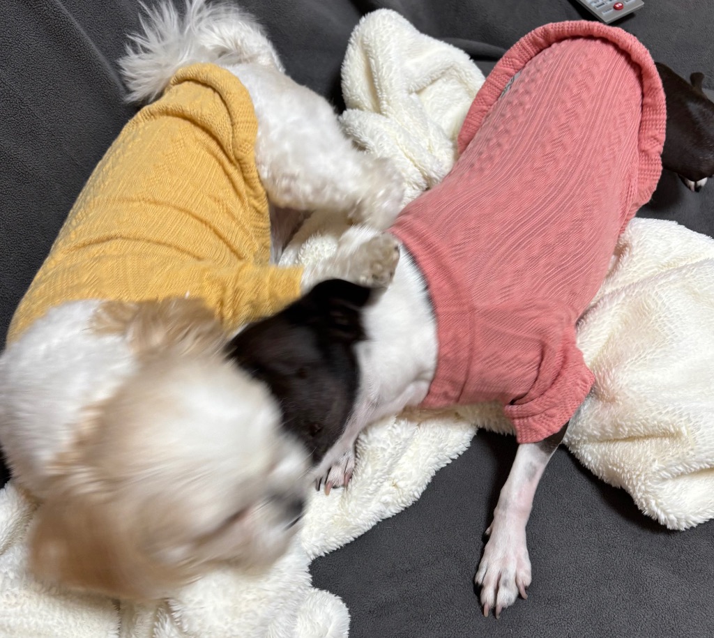 全体のレビュー画像 | 9-2