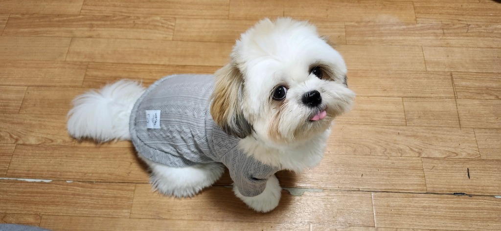 全体のレビュー画像 | 7-0