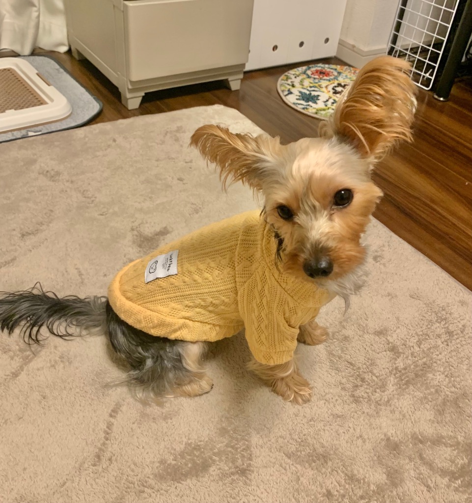 全体のレビュー画像 | 6-0