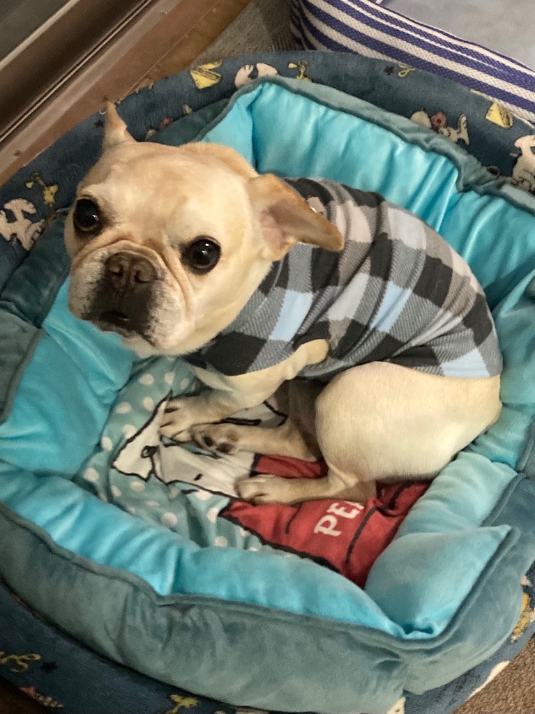 全体のレビュー画像 | 1-0