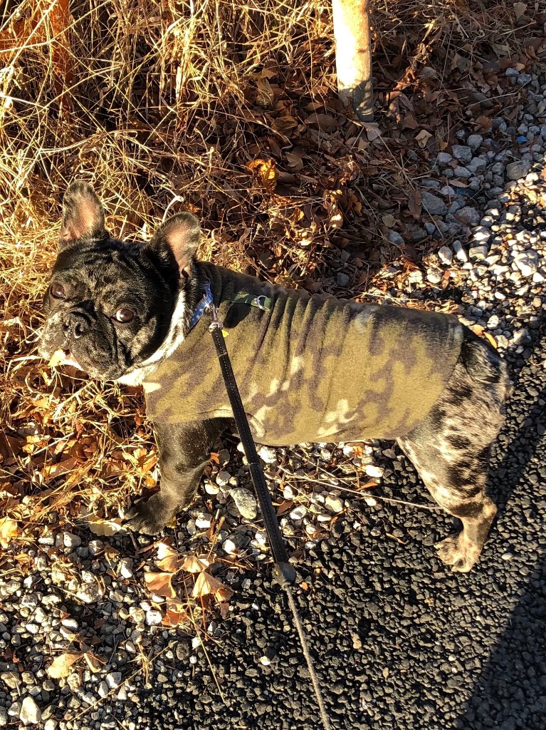 全体のレビュー画像 | 0-0