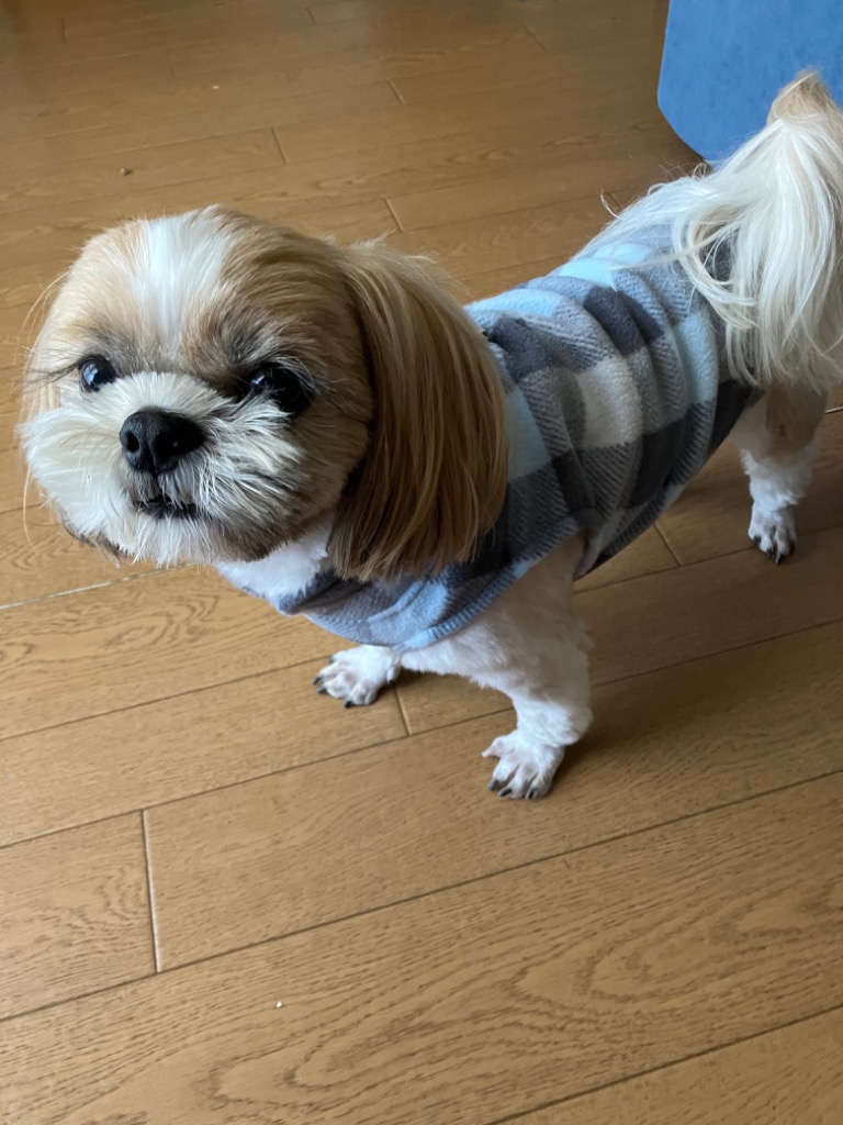 全体のレビュー画像 | 7-0