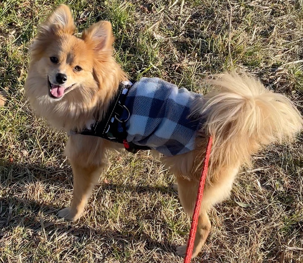 全体のレビュー画像 | 0-0