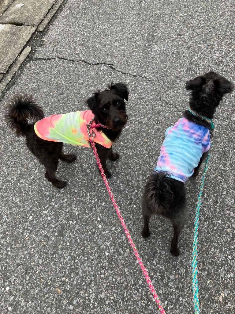 全体のレビュー画像 | 2-0