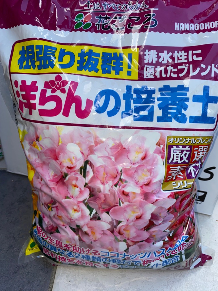 1件目のレビュー画像 | 1