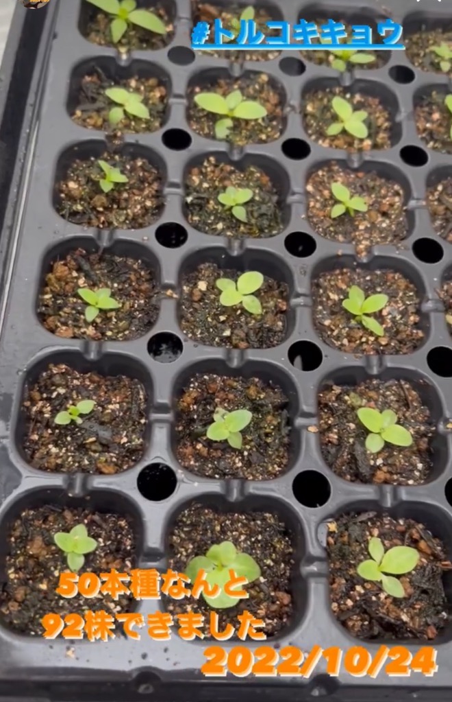 1件目のレビュー画像 | 4