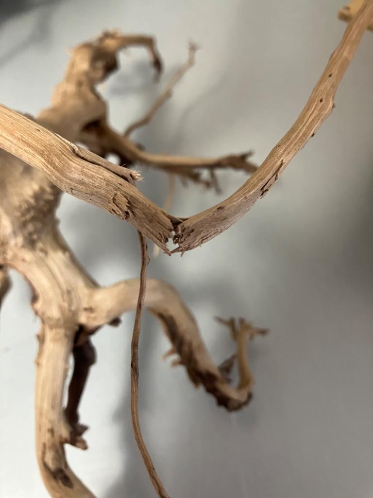 全体のレビュー画像 | 1-0