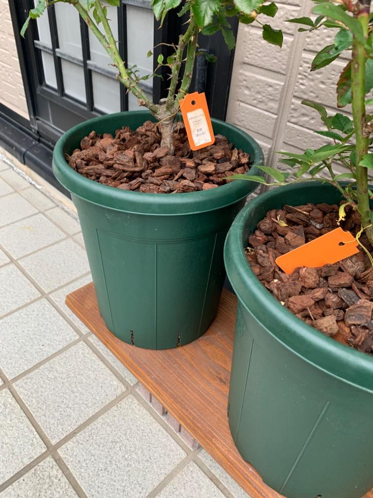 1件目のレビュー画像 | 0