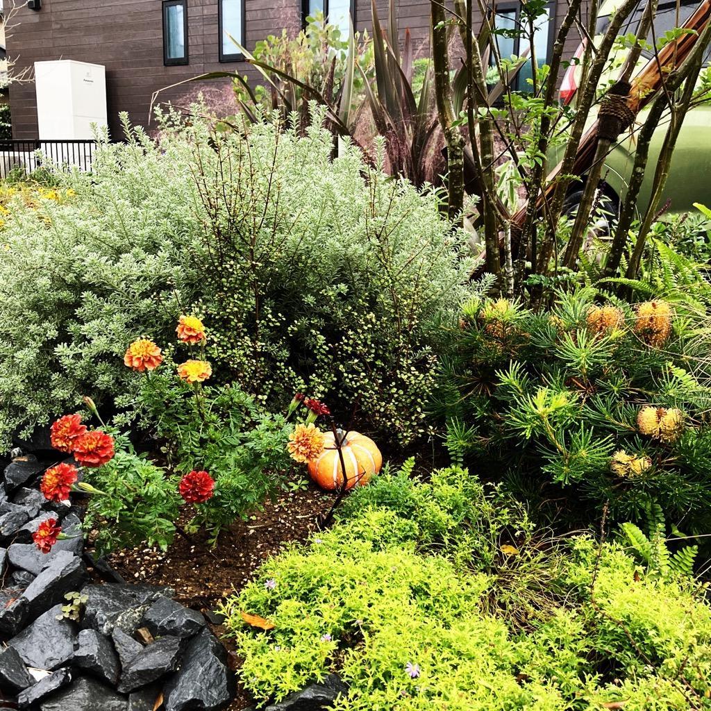 全体のレビュー画像 | 0-0