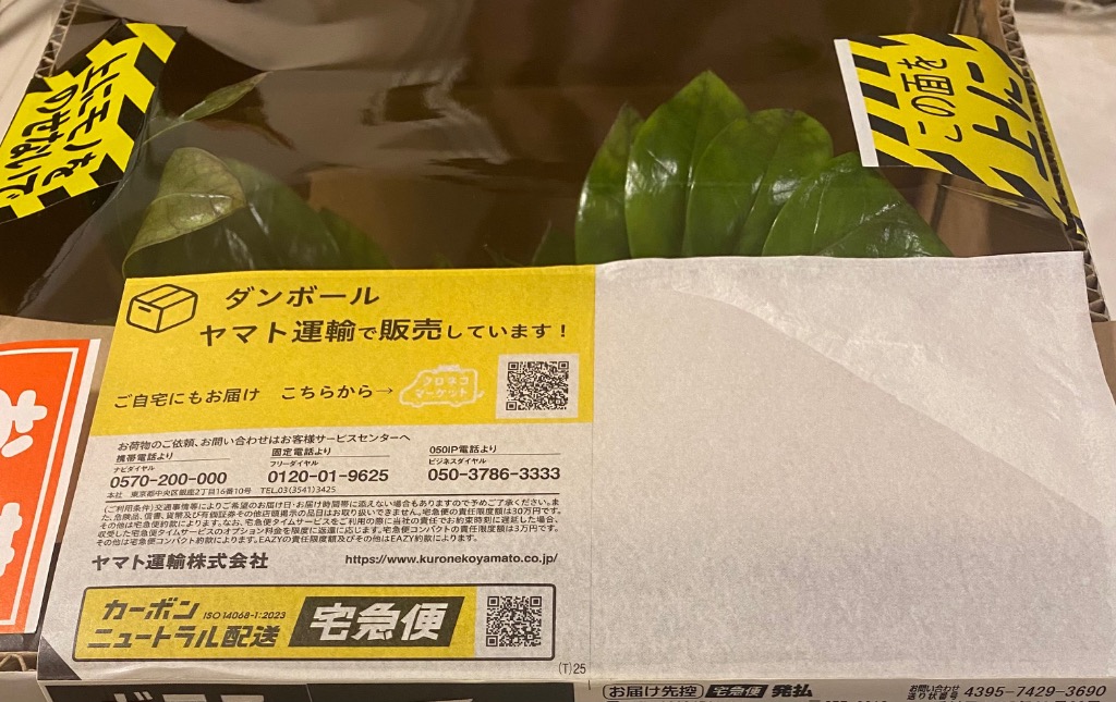 1件目のレビュー画像 | 2