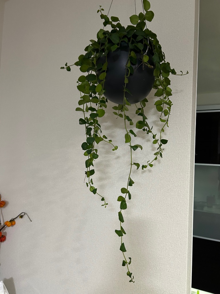 1件目のレビュー画像 | 0