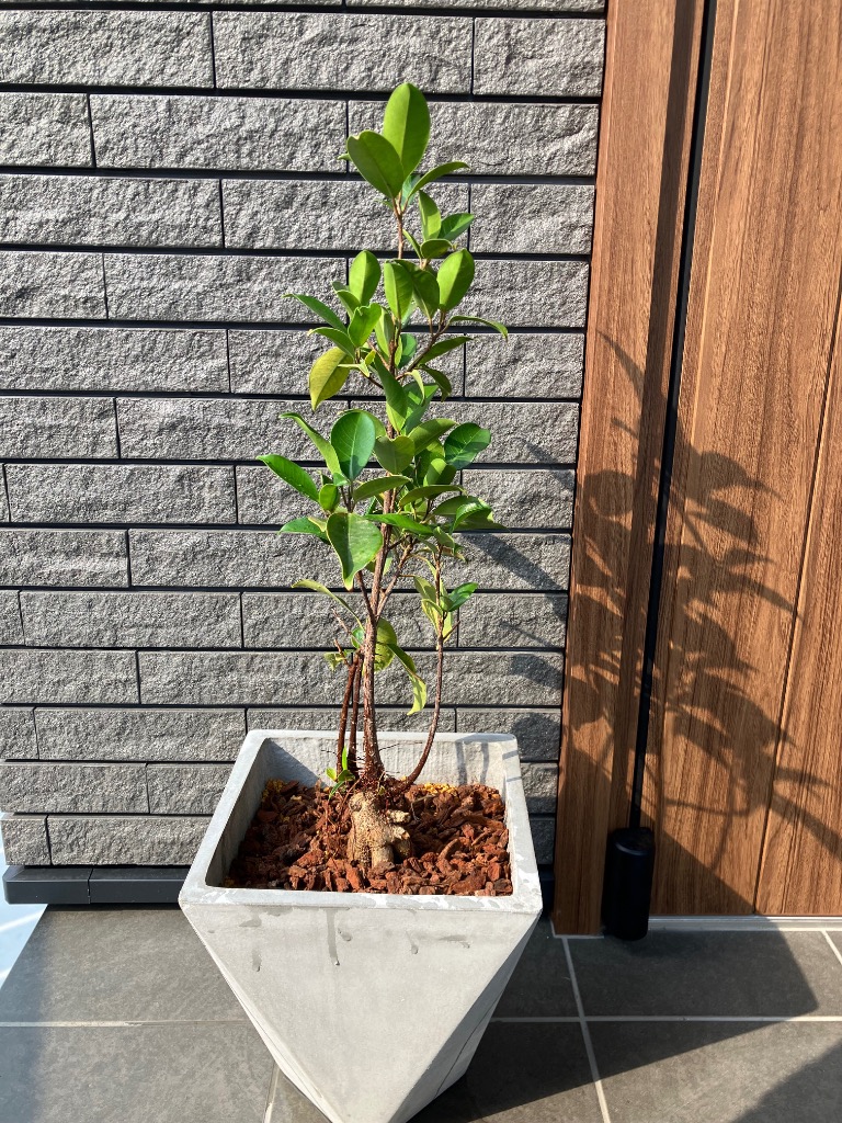 リーベン プランター 植木鉢 おしゃれ 三角形 ガーデニング