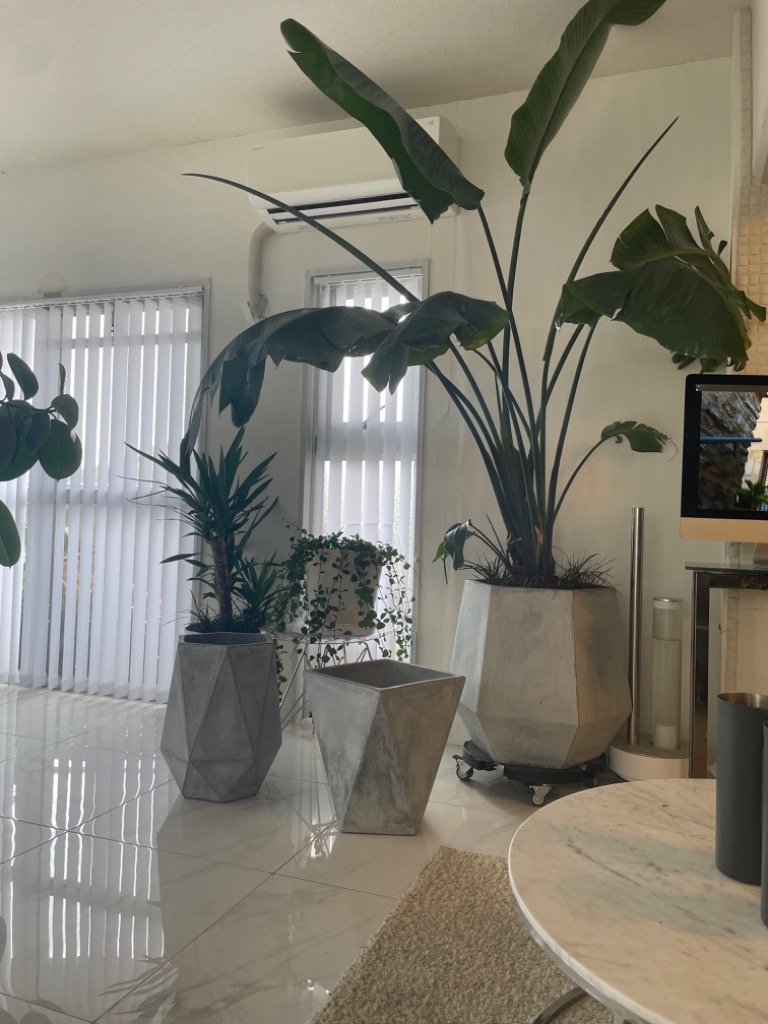 リーベン プランター 植木鉢 おしゃれ 三角形 ガーデニング