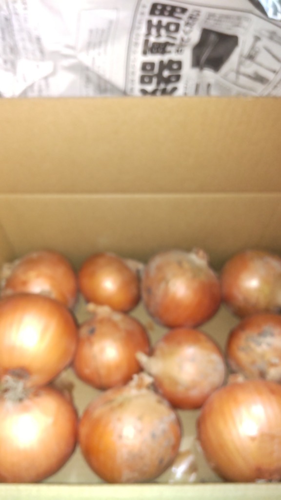 全体のレビュー画像 | 0-0