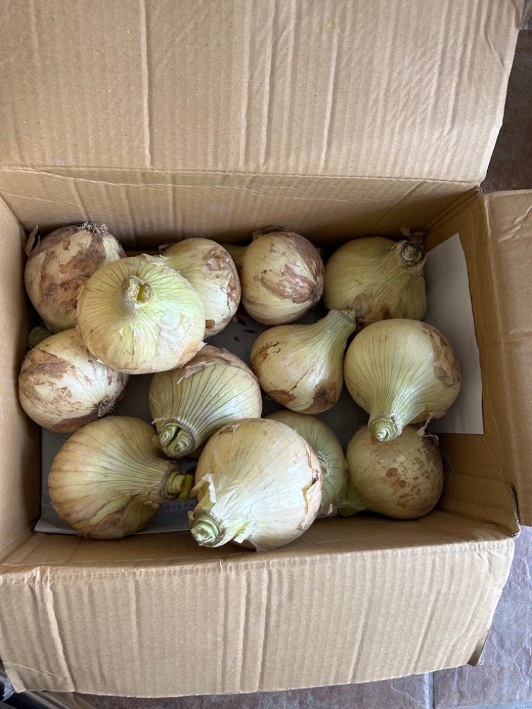 全体のレビュー画像 | 1-0