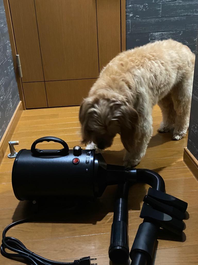 Amazon.co.jp: ペットドライヤー 𝟐𝟖𝟎𝟎𝐖 犬用ドライヤー