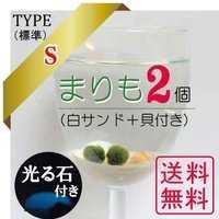 まりも3点セット Ｓ（標準）タイプ 光る石付き 全国送料無料 : marimo