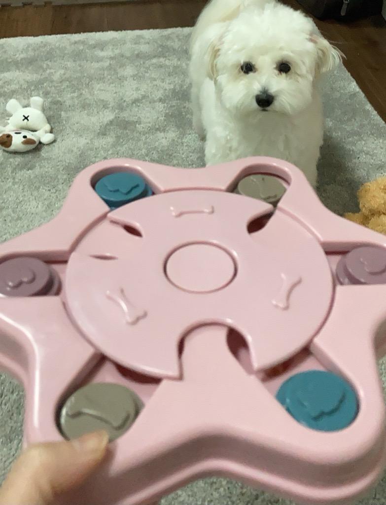 全体のレビュー画像 | 2-0