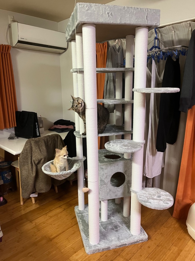レビュー画像