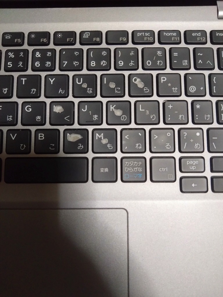 レビュー画像