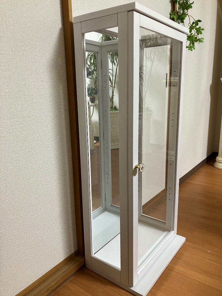 コレクションケース ハイタイプ キュリオケース縦型 キュリオ