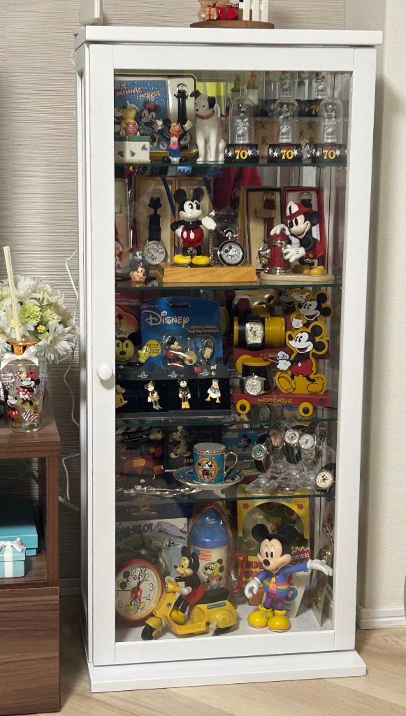 コレクションケース ハイタイプ キュリオケース縦型 キュリオガラス