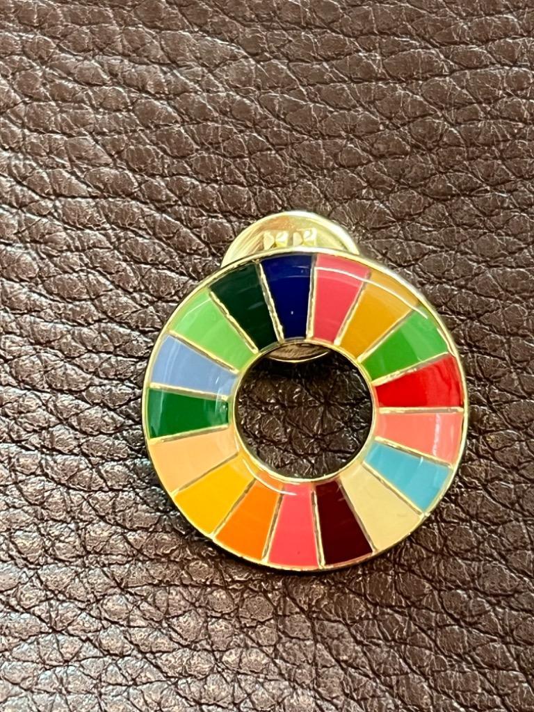 1個 sdgsバッジ 国連最新仕様 SDGs バッジ 25mm 金色丸み仕上げ
