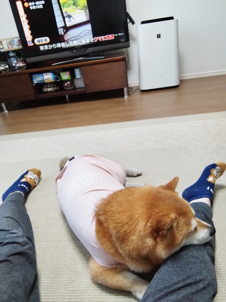 レビュー画像