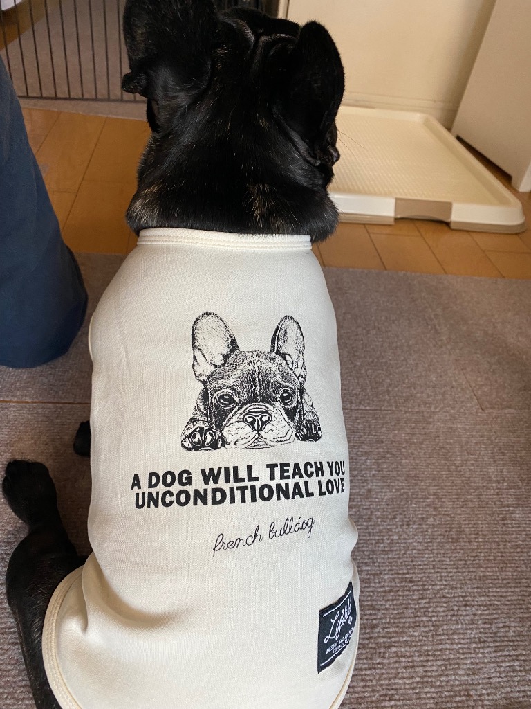 ハンドメイドフレブル服no. フレンチブルドッグ ペット服・アクセサリー のおすすめ人気通販