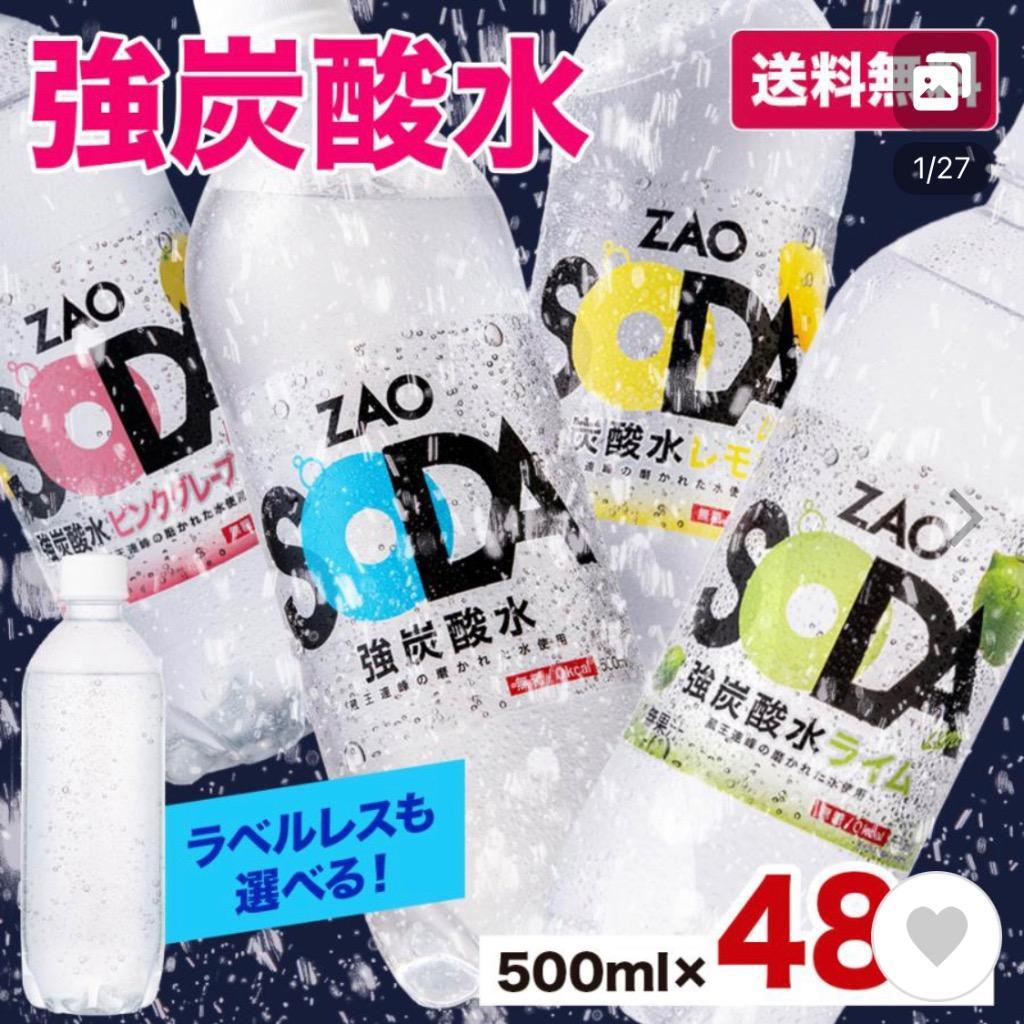 フレーバー選べる48本☆】 炭酸水 500ml 48本 2ケース 送料無料 強炭酸