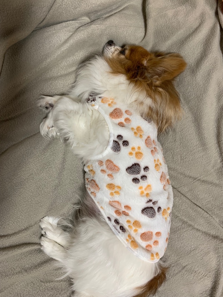 全体のレビュー画像 | 2-0