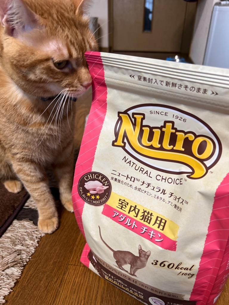 ナチュラルチョイス ニュートロ ナチュラルチョイス キャット