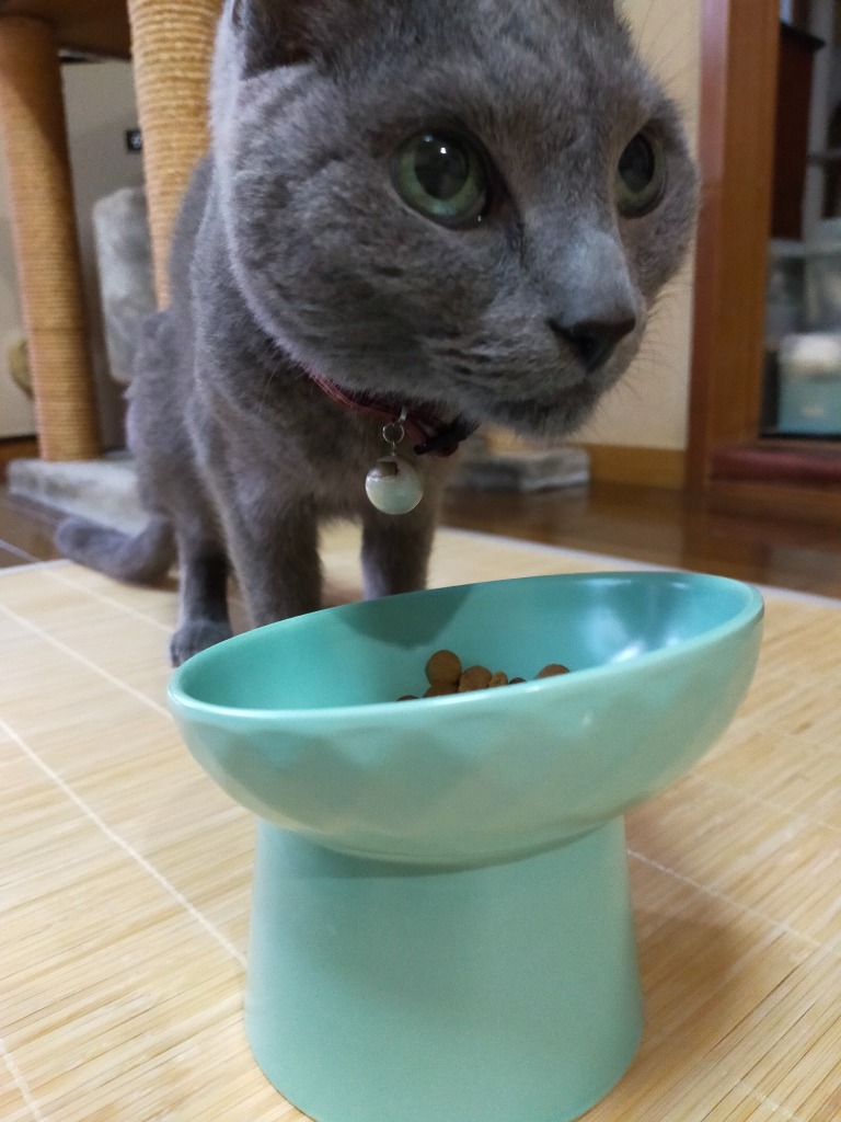 猫ユリナリー S/Oオルファクトリーライト 4kg ロイヤルカナン ロイヤルカナン 猫用 ユリナリーS/O オル