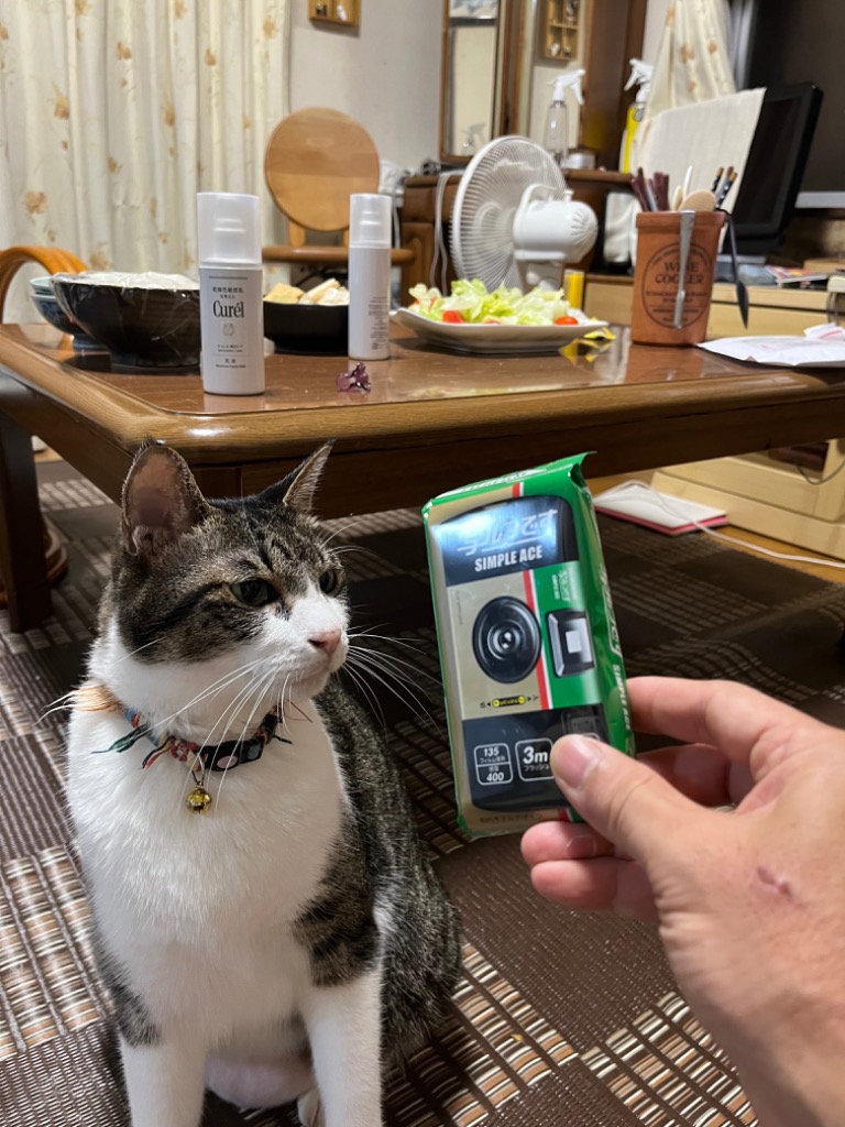 フジカラー写ルンです シンプルエースSP27枚撮り 4個 Amazon | instax 写ルンです シンプルエース SP FL27×5点