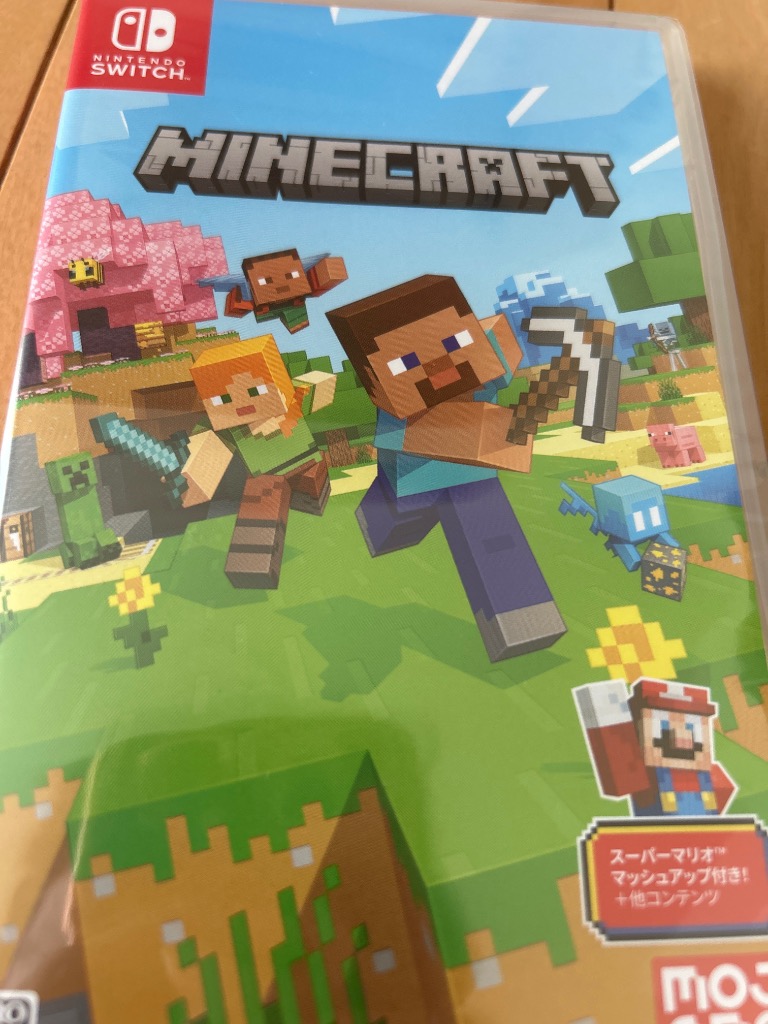 Nintendo Switch Minecraft Switch用ソフト（パッケージ版