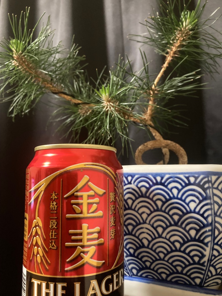 金麦 サントリー ザ ラガー 350ml×2ケース(48本) 送料無料