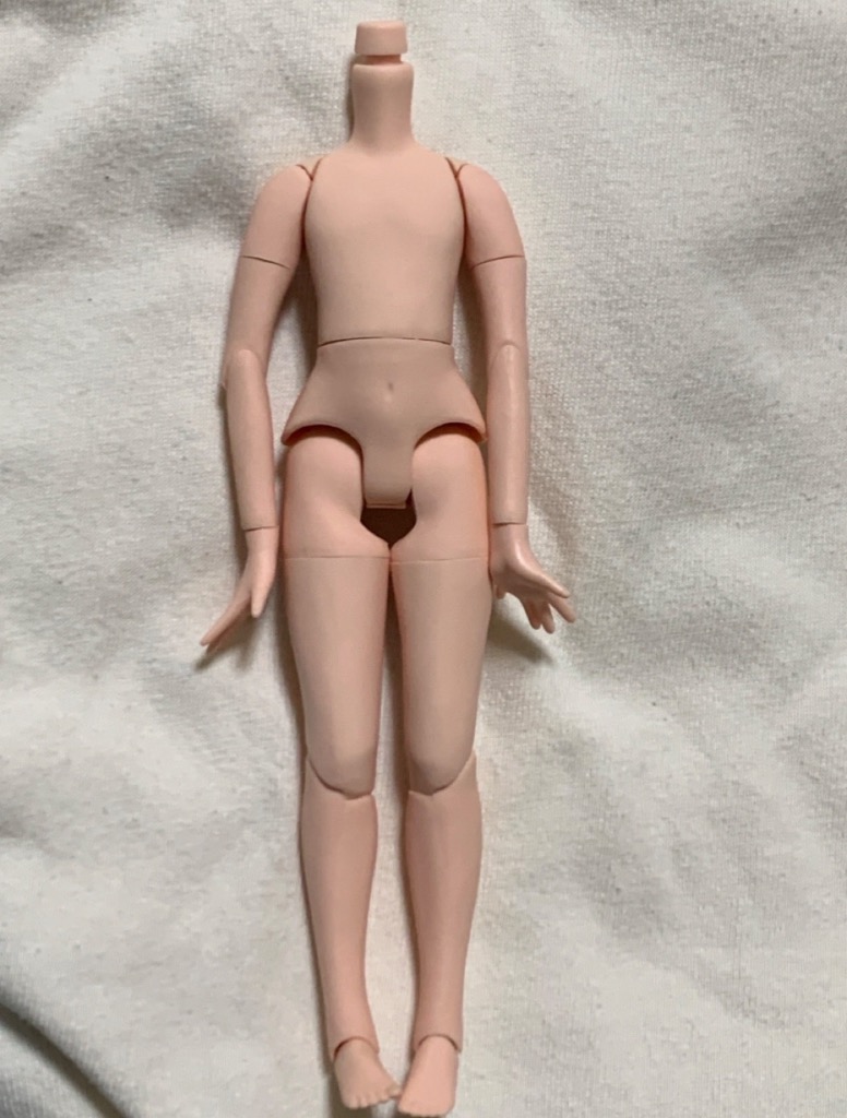 アイシードール ブライス 男の子 boy 可動ボディ 1/6ドール