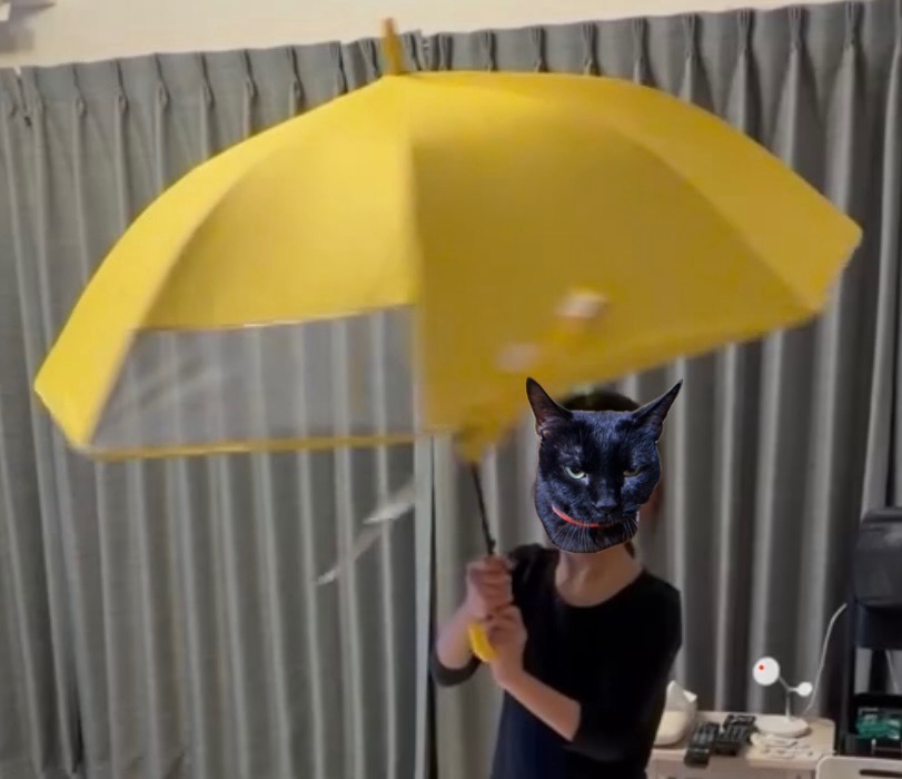 7件目のレビュー画像 | 1