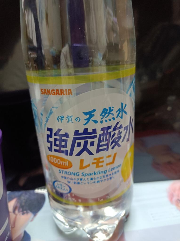 炭酸水 IRIS OHYAMA 炭酸水 450ml 24本 強炭酸水 最強炭酸 炭酸 無糖